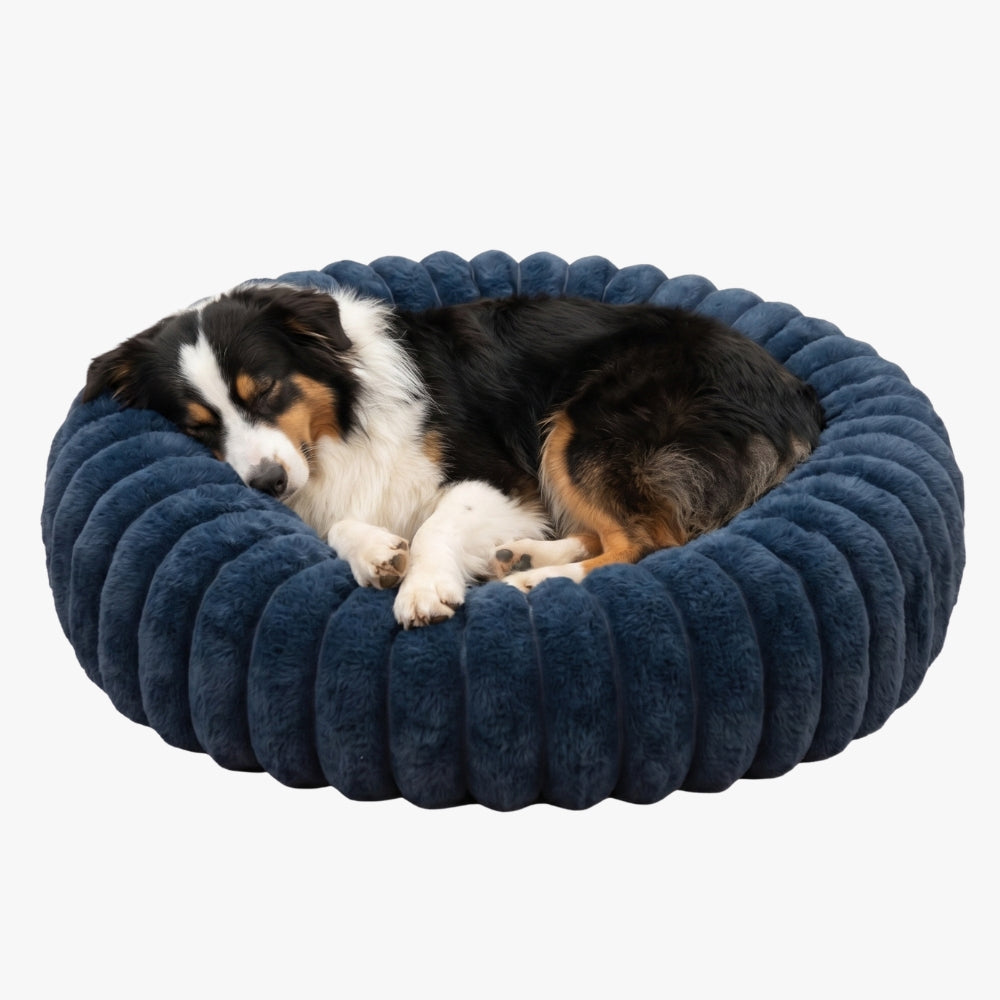 panier-donut-cotele-chien-bleu-marine