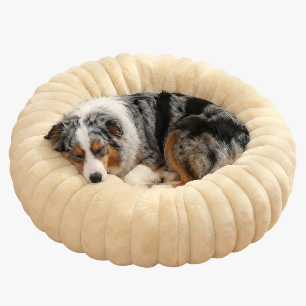 panier-donut-cotele-chien-jaune-pale