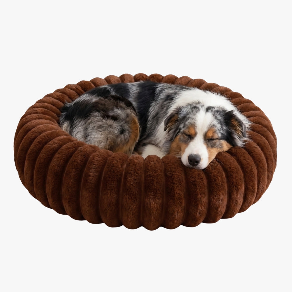 panier-donut-cotele-chien-marron