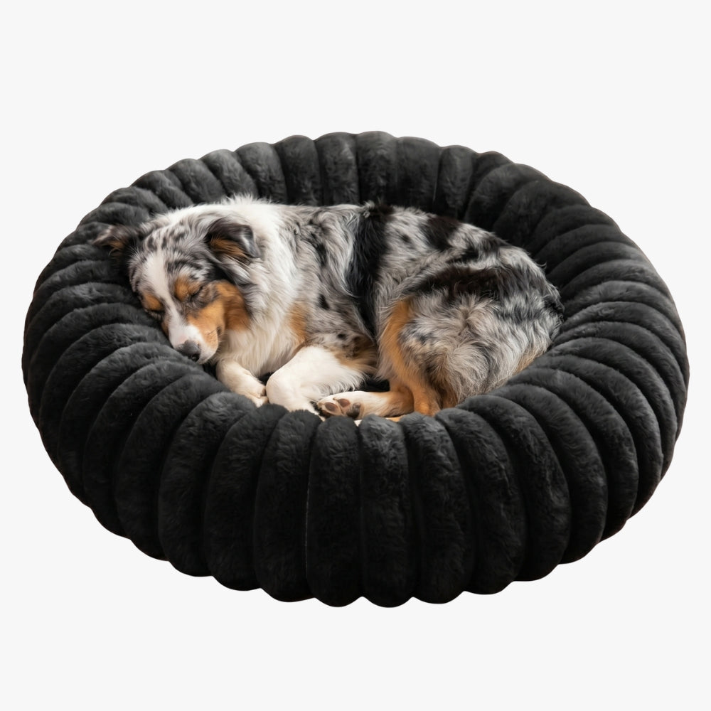 panier-donut-cotele-chien-noir