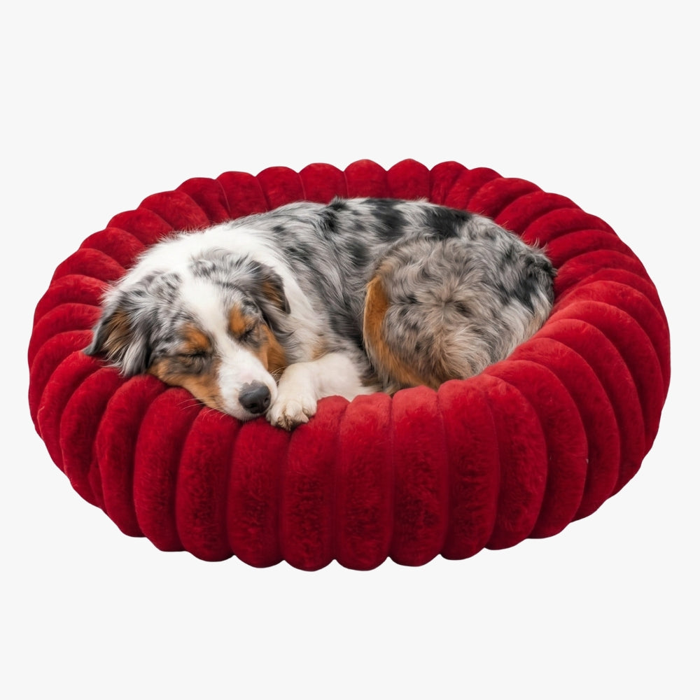 panier-donut-cotele-chien-rouge