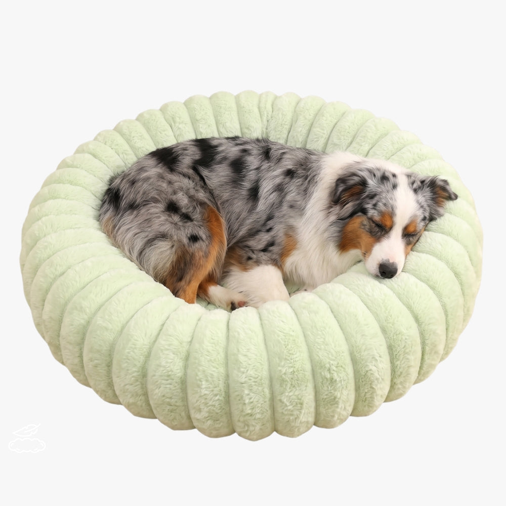 panier-donut-cotele-chien-vert-clair