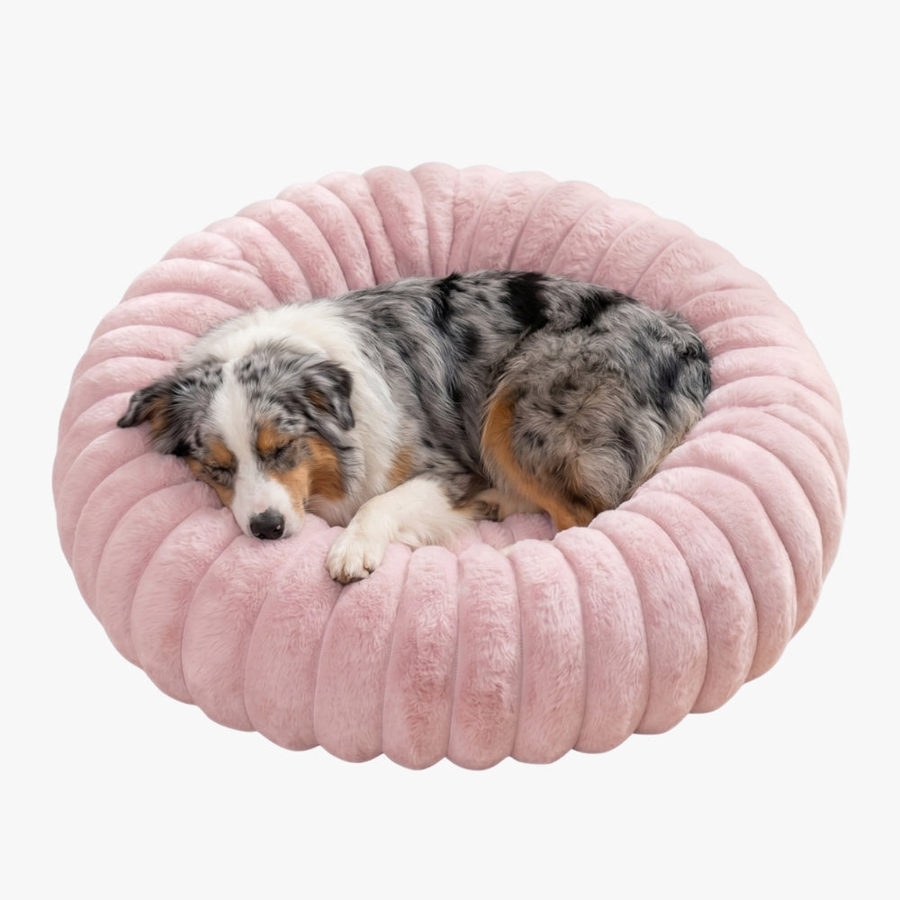 panier-donut-cotele-chien-violet-clair