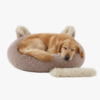 panier-donut-pour-chien-original-cafe