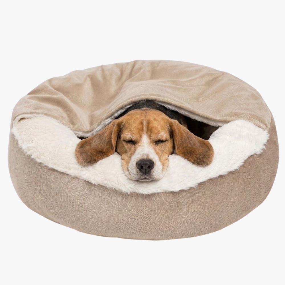 panier-orthopedique-pour-chien-semi-ferme-beige