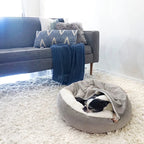 panier-orthopedique-pour-chien-semi-ferme-gris-situation