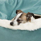 panier-orthopedique-pour-chien-semi-ferme-vert-closeup