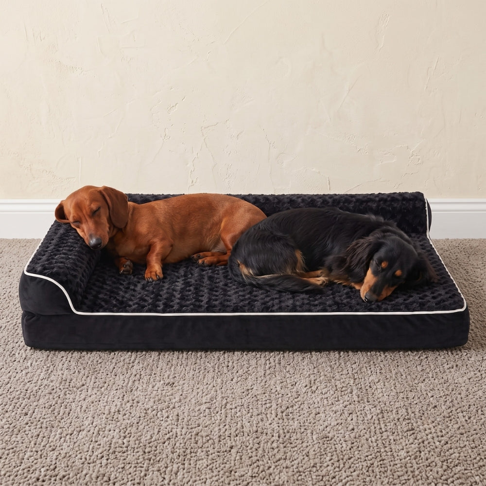 panier-orthopedique-pour-grand-chien-rectangulaire-angle-noir-situation-face