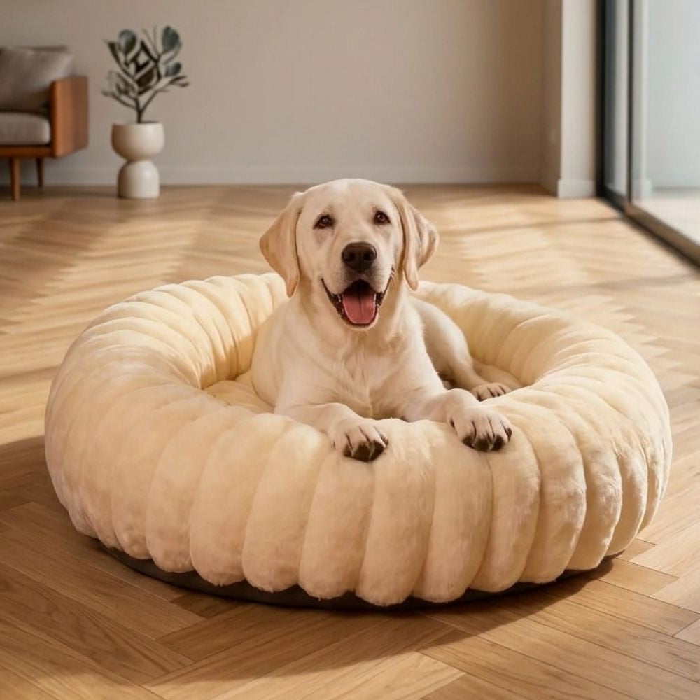 panier-pour-chien-donut-cotele-beige-situation-2