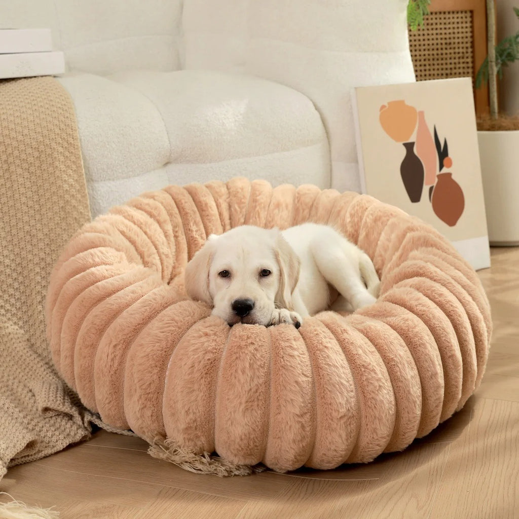 panier-pour-chien-donut-cotele-beige-situation