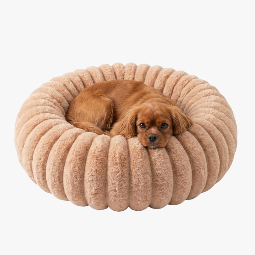 panier-pour-chien-donut-cotele-beige