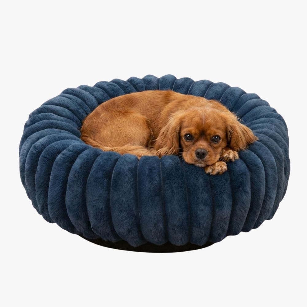 panier-pour-chien-donut-cotele-bleu-marine