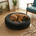 panier-pour-chien-donut-cotele-noir-situation