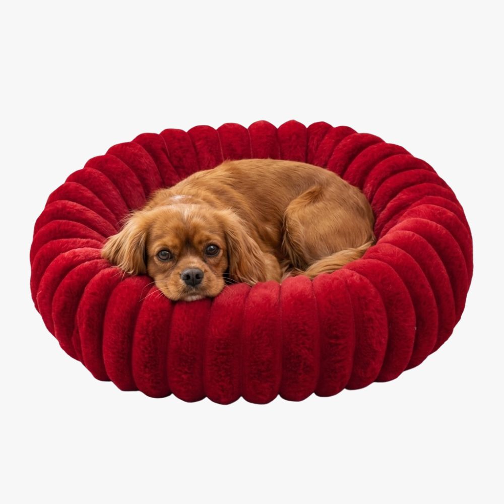 panier-pour-chien-donut-cotele-rouge