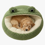 panier-pour-chien-grenouille-en-velours-dessus