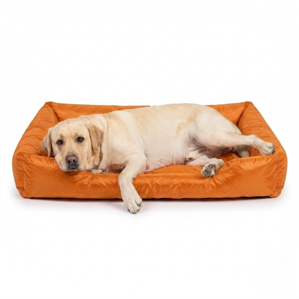 panier-pour-chien-impermeable-anti-poils-rectangulaire-orange