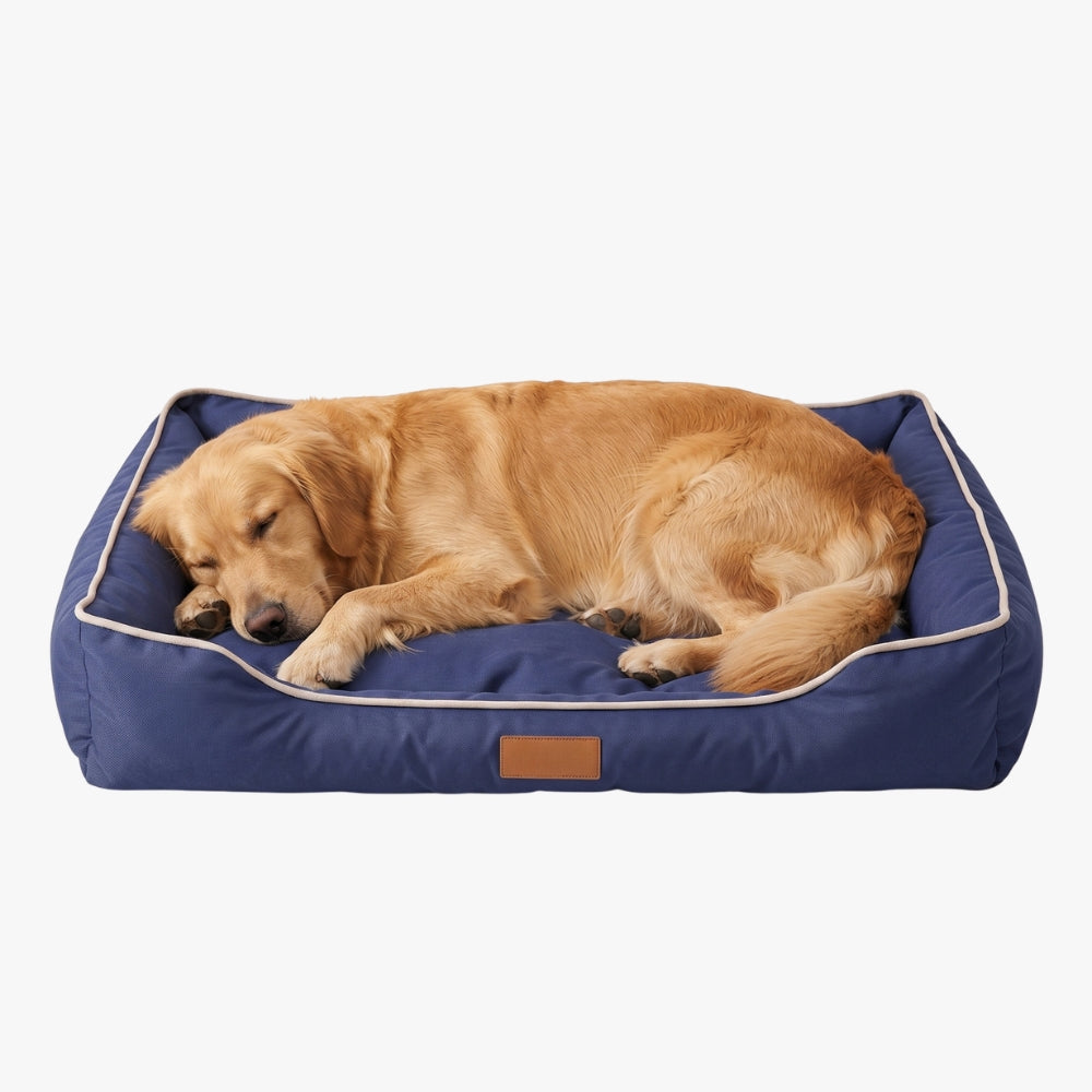 panier-pour-chien-impermeable-resistant-aux-morsures-bleu