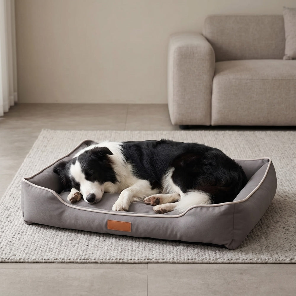 panier-pour-chien-impermeable-resistant-aux-morsures-gris-situation