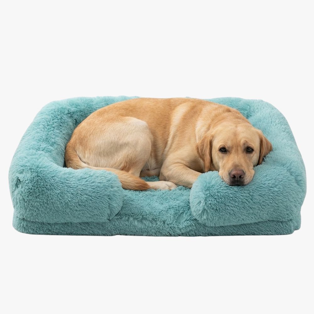 panier-pour-chien-orthopedique-a-fourrure-turquoise