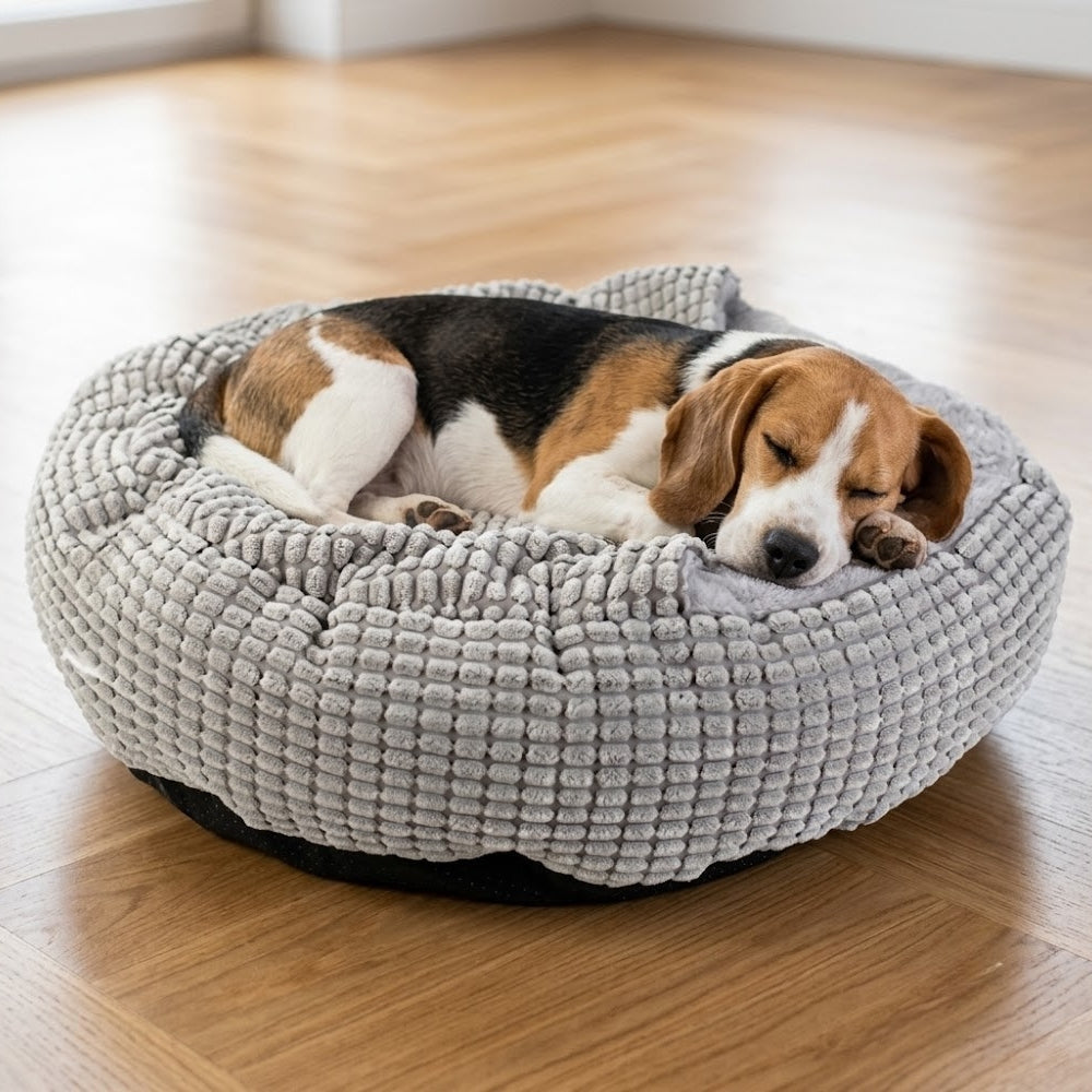 panier-pour-chien-orthopedique-anti-stress-semi-ferme-couverture-integree-gris-situation