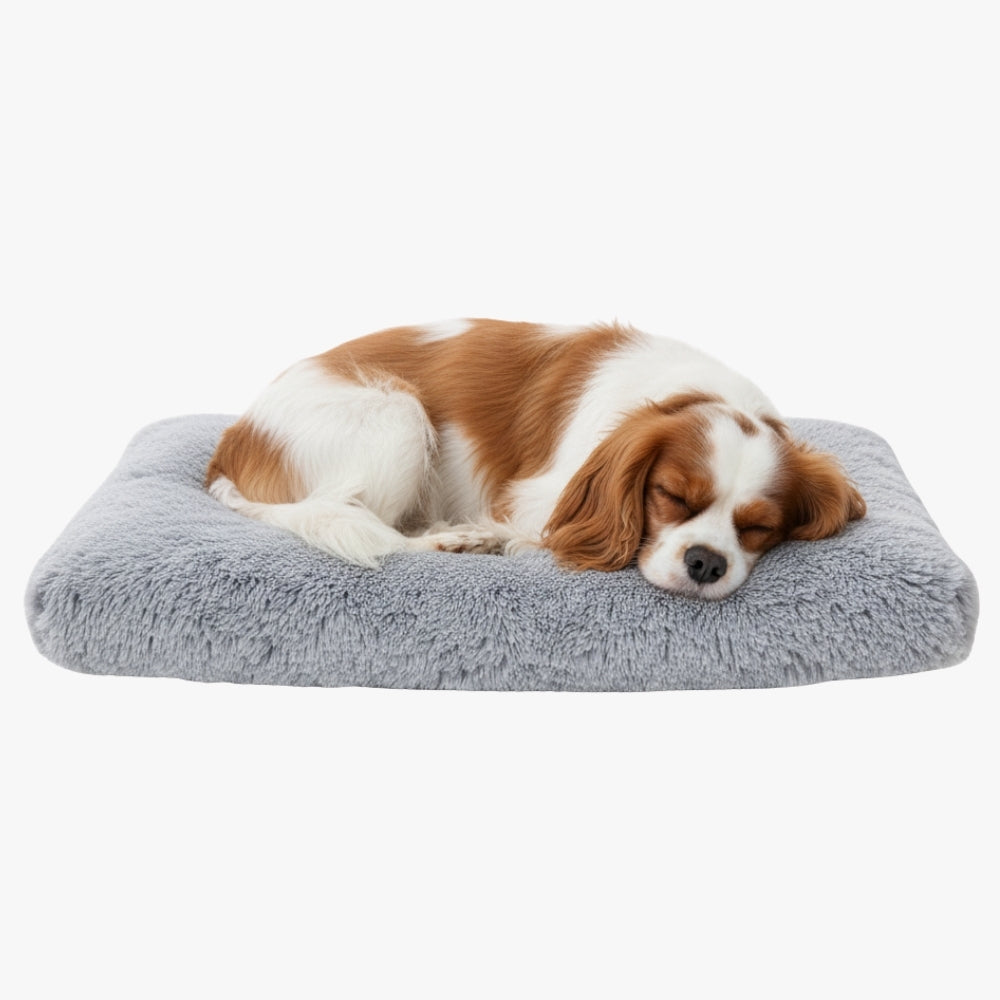 panier-pour-chien-orthopedique-gris-en-fourrure