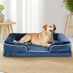 panier-pour-chien-orthopedique-rectangulaire-dehoussable-avec-rebords-bleu-situation-face