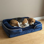 panier-pour-chien-orthopedique-rectangulaire-dehoussable-avec-rebords-bleu-situation