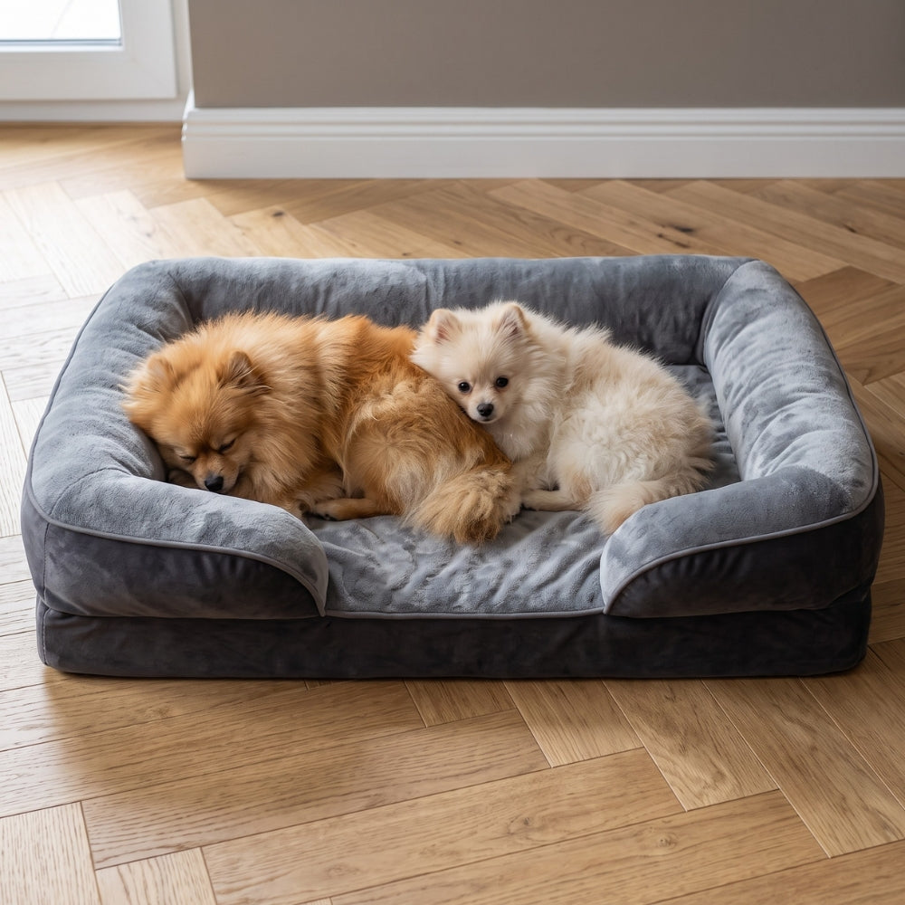panier-pour-chien-orthopedique-rectangulaire-dehoussable-avec-rebords-gris-situation