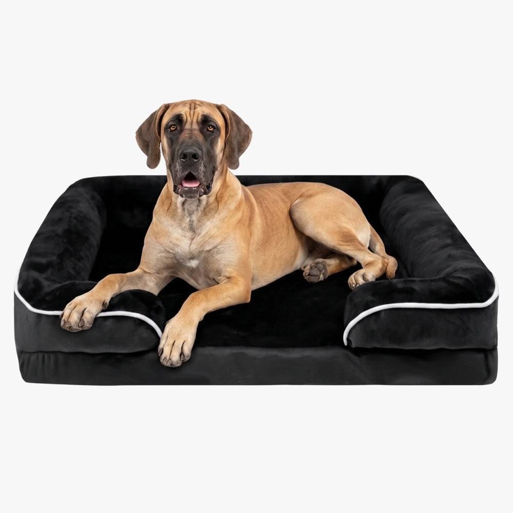 panier-pour-chien-orthopedique-rectangulaire-dehoussable-avec-rebords-noir