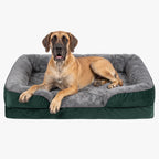 panier-pour-chien-orthopedique-rectangulaire-dehoussable-avec-rebords-vert-fonce