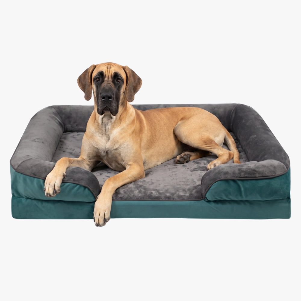 panier-pour-chien-orthopedique-rectangulaire-dehoussable-avec-rebords-vert