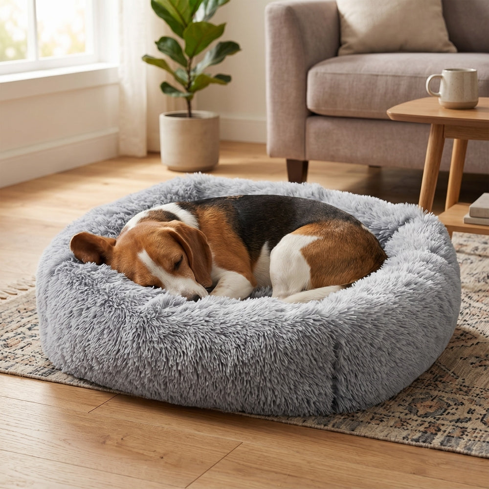 panier-pour-chien-rectangulaire-moelleux-en-fourrure-situation