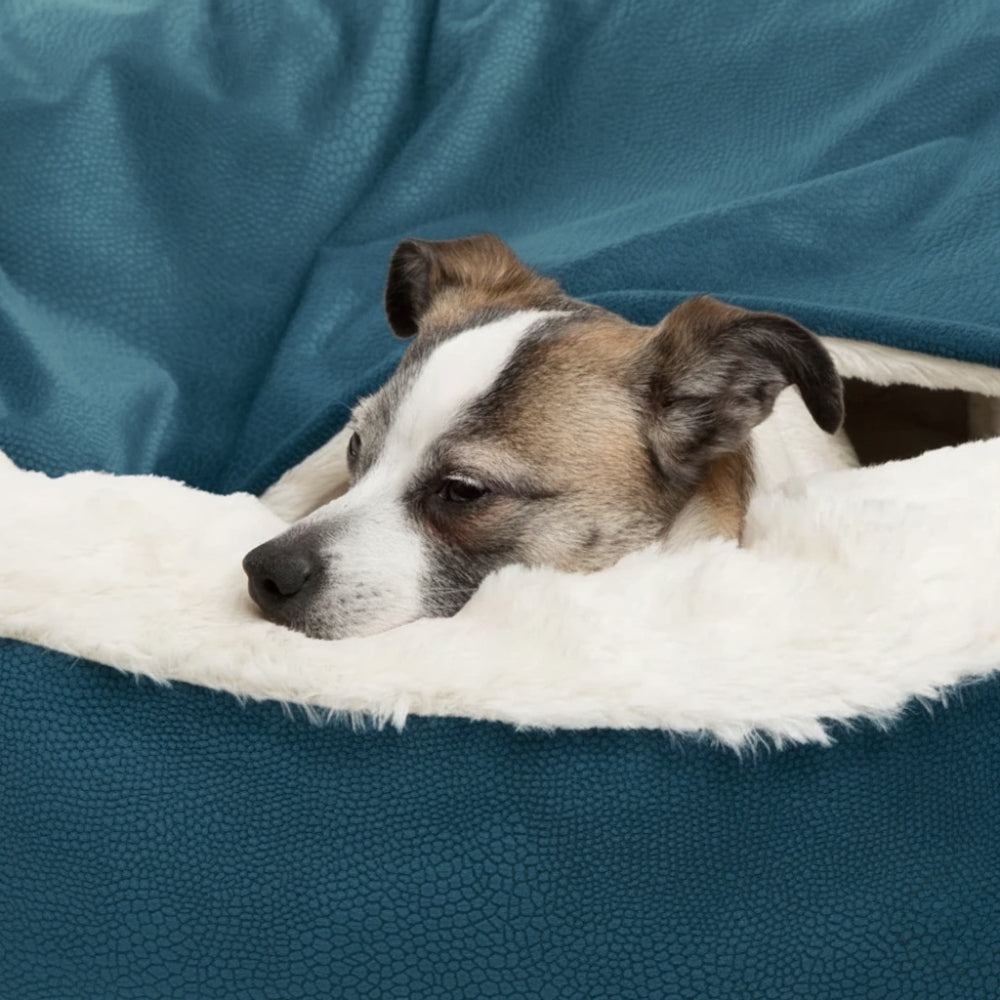 panier-pour-chien-rond-orthopedique-semi-ferme-bleu-closeup