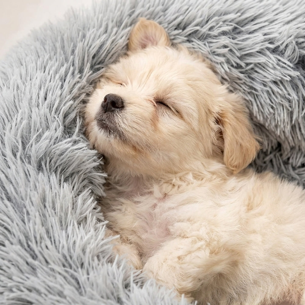 panier-pour-chien-semi-ferme-en-fourrure-closeup