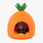 panier-pour-petit-chien-ananas