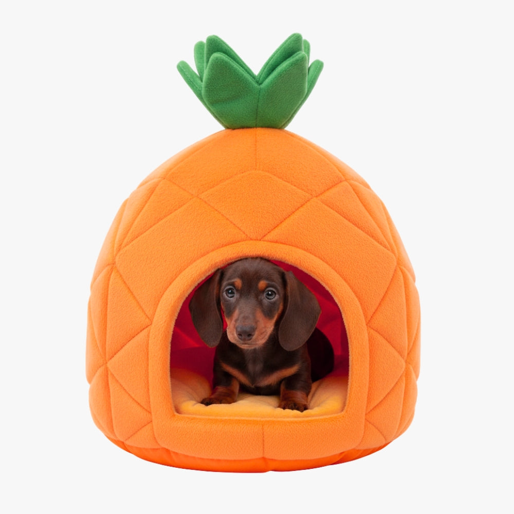 panier-pour-petit-chien-ananas