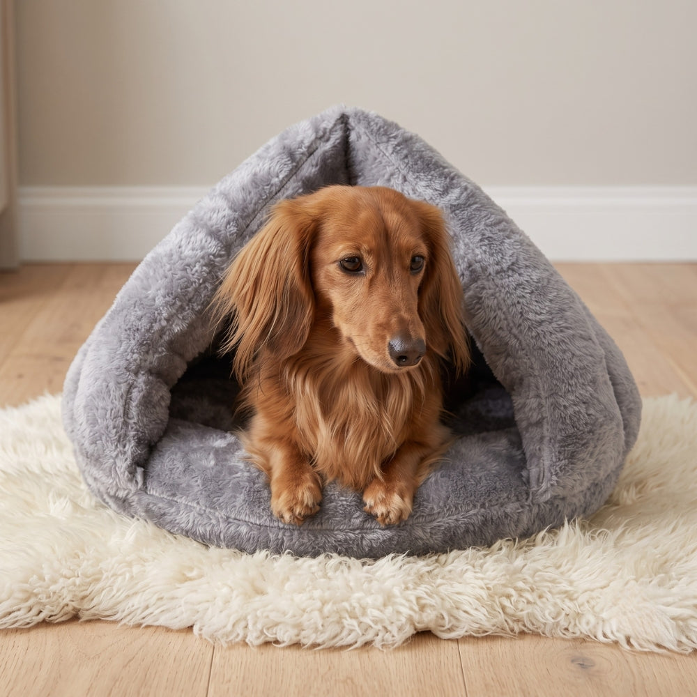 panier-pour-petit-chien-chausson-moelleux-gris-situation-teckel
