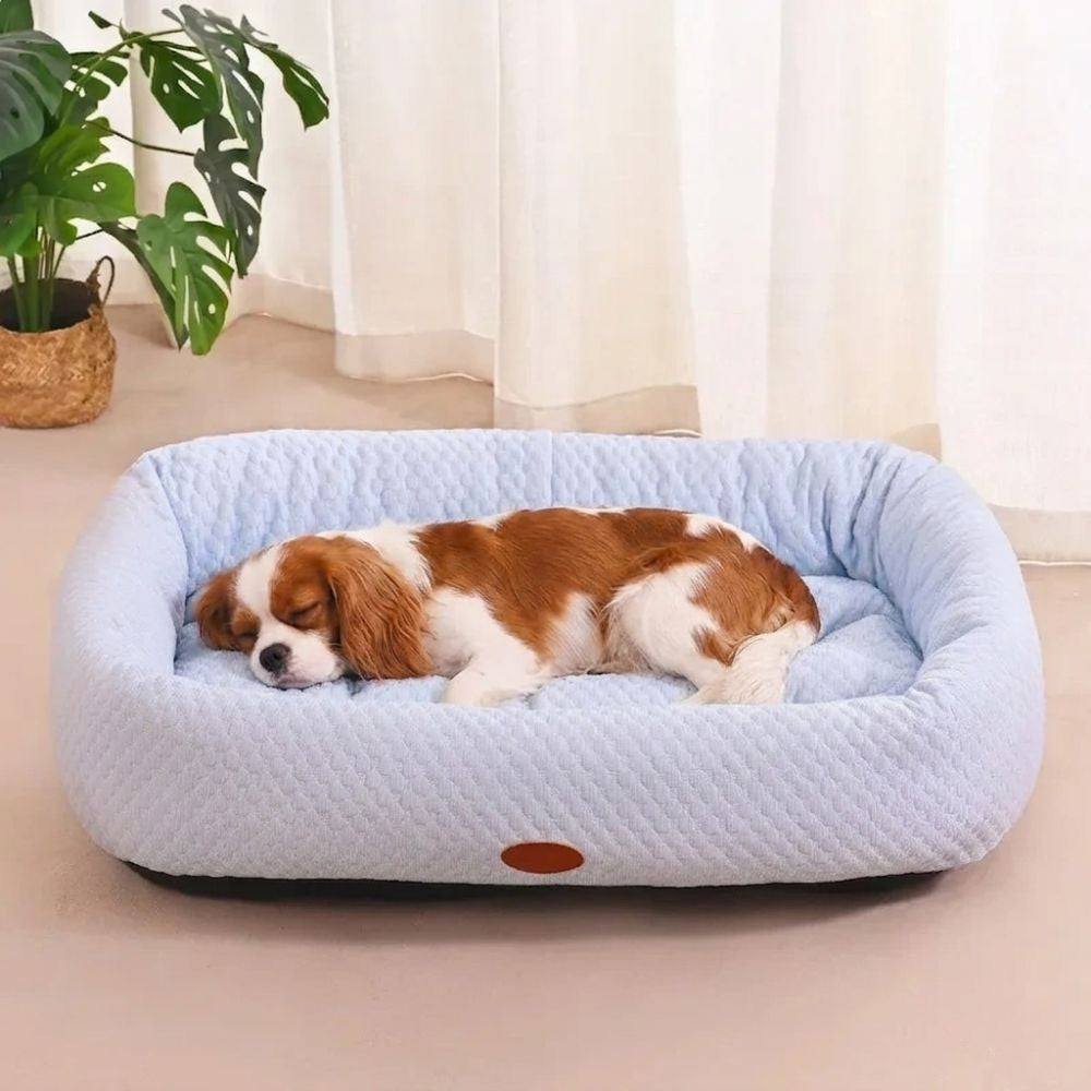 panier-rafraichissant-pour-chien-bleu-clair-situation