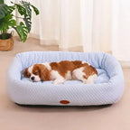panier-rafraichissant-pour-chien-bleu-clair-situation