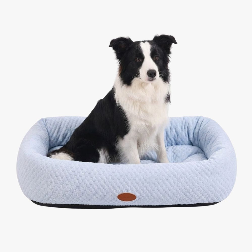 panier-rafraichissant-pour-chien-bleu-clair