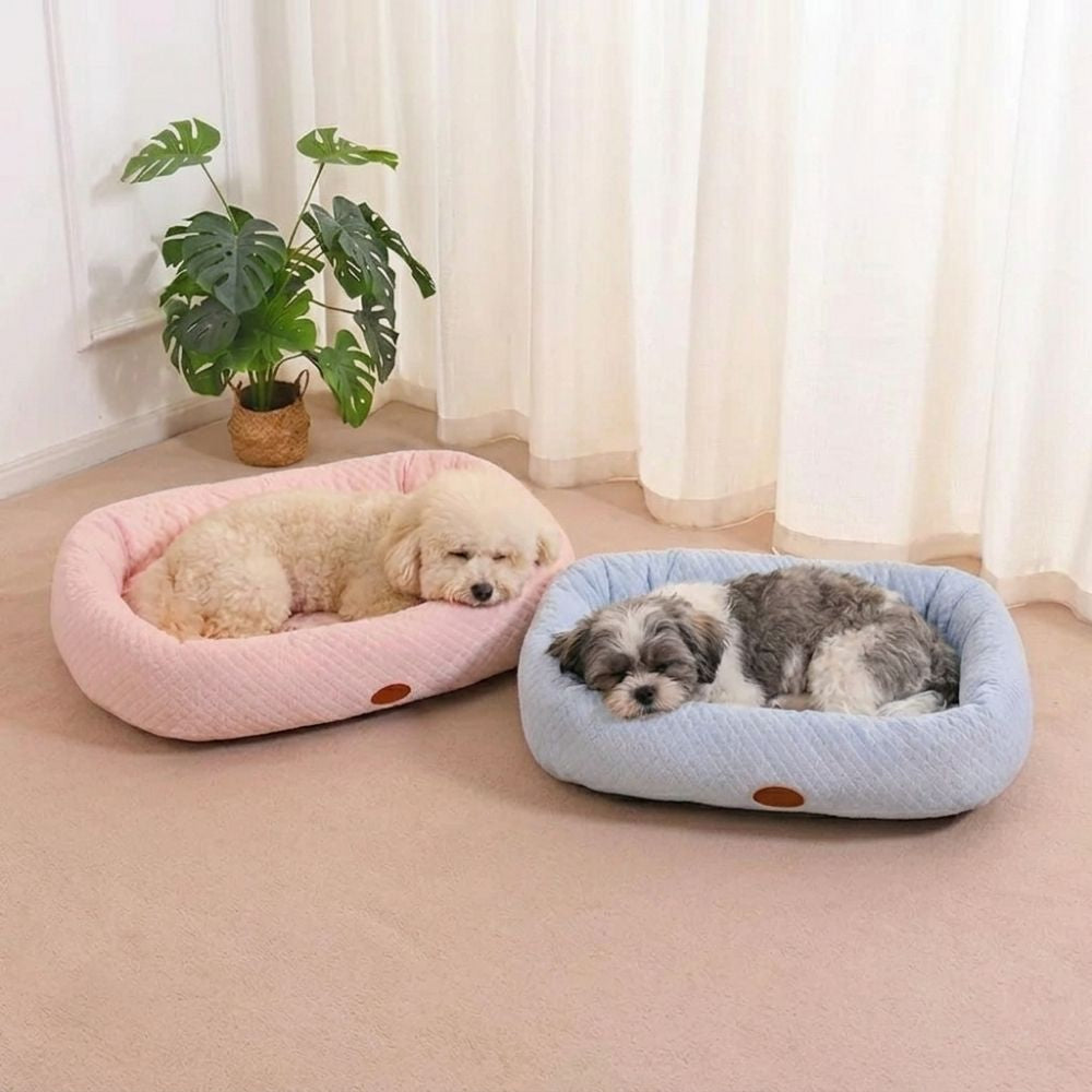 panier-rafraichissant-pour-chien-bleu-rose-situation