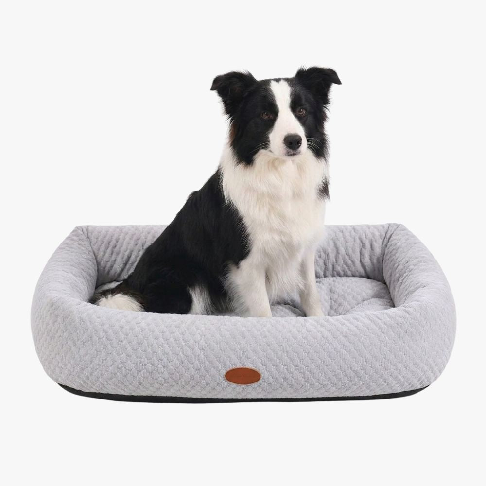 panier-rafraichissant-pour-chien-gris-clair