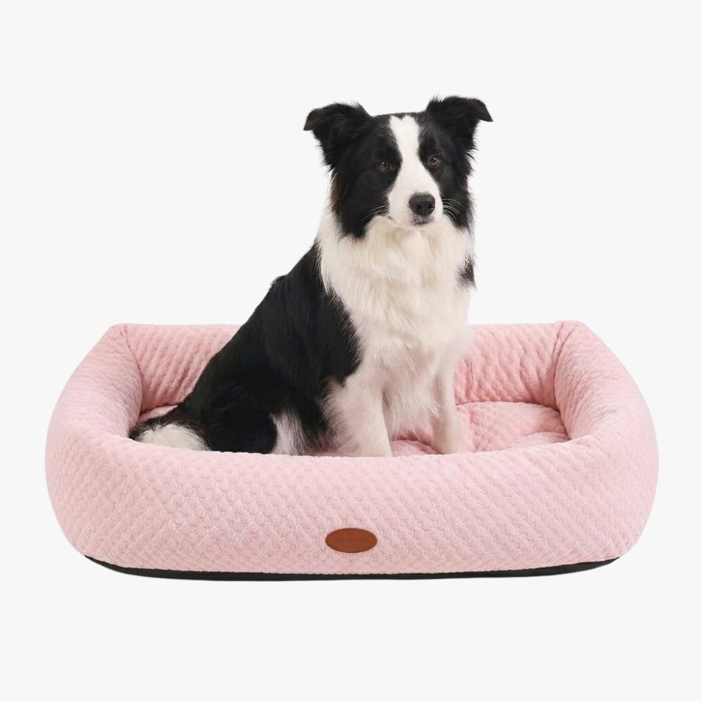 panier-rafraichissant-pour-chien-rose-clair
