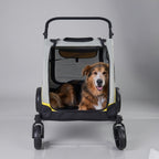 poussette-pour-chien-tout-terrain-face-studio