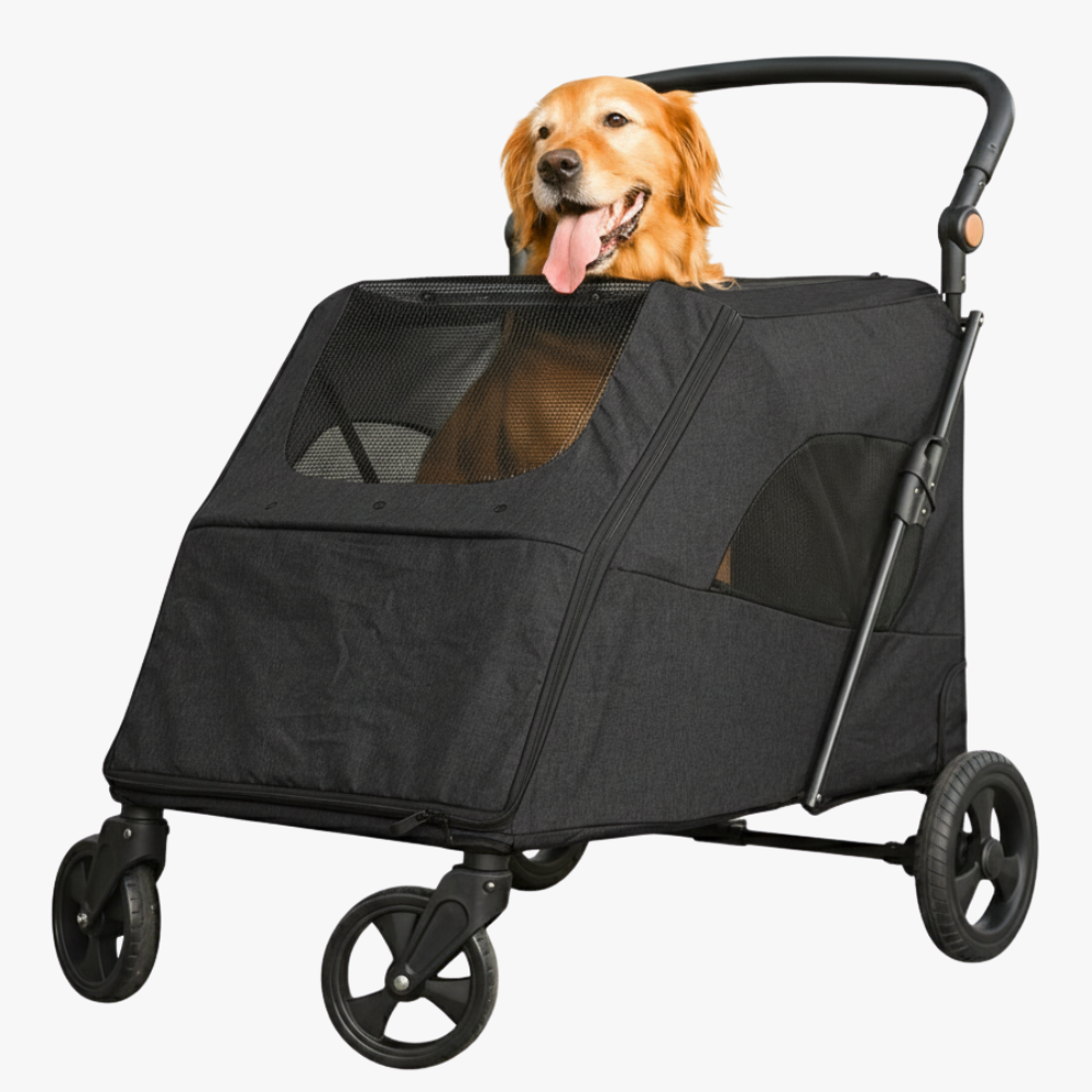 poussette-pour-grand-chien-noire