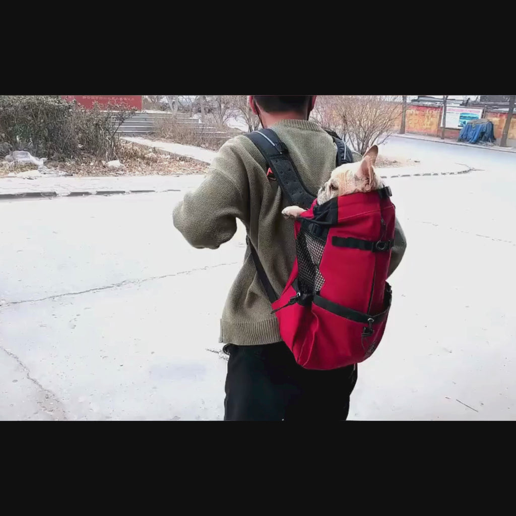 video sac transport chien