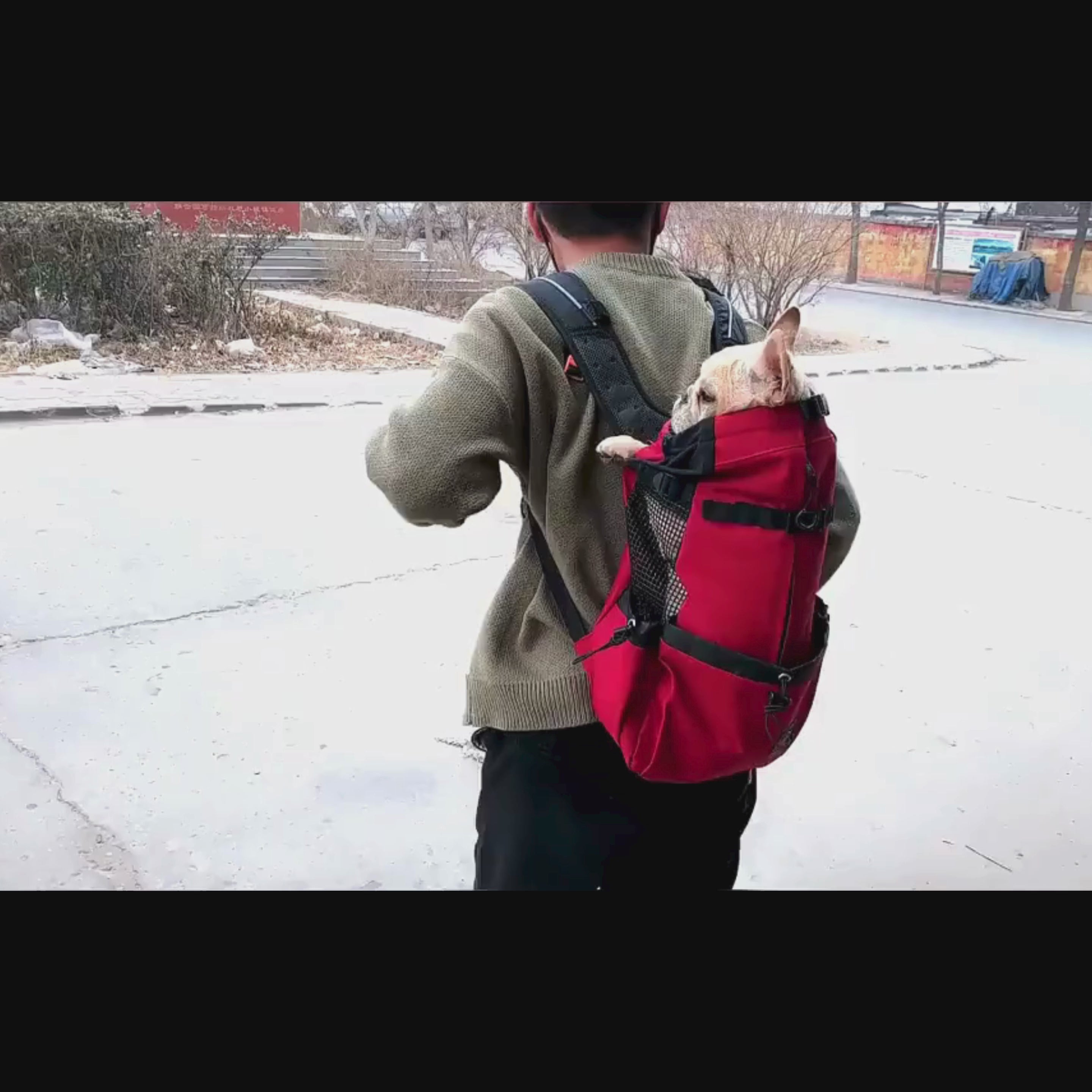 video sac transport chien