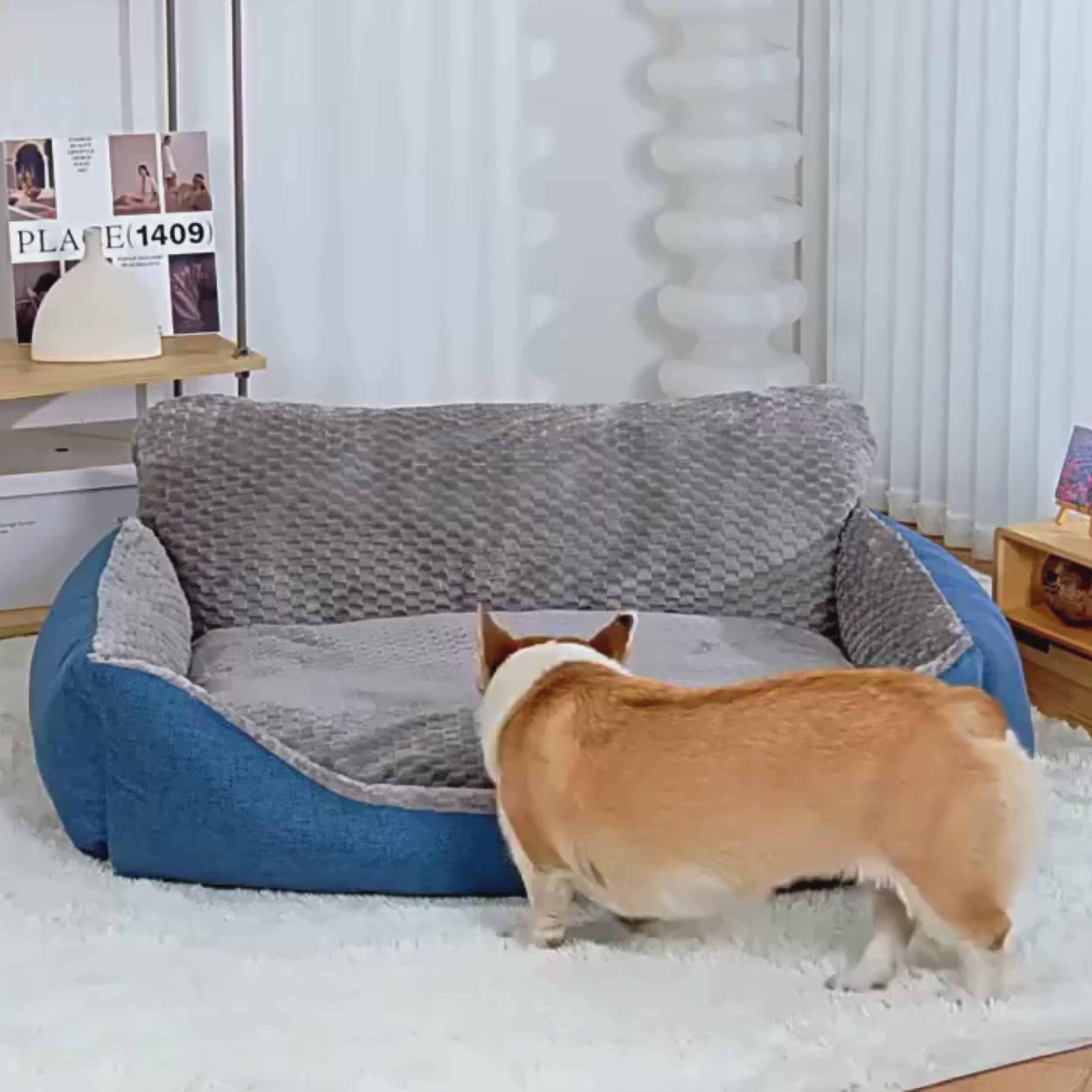panier-canape-pour-chien-dehoussable-lavable-en-machine-video