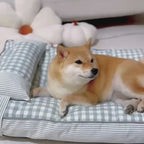 Matelas Pour Chien à Carreaux avec Coussin