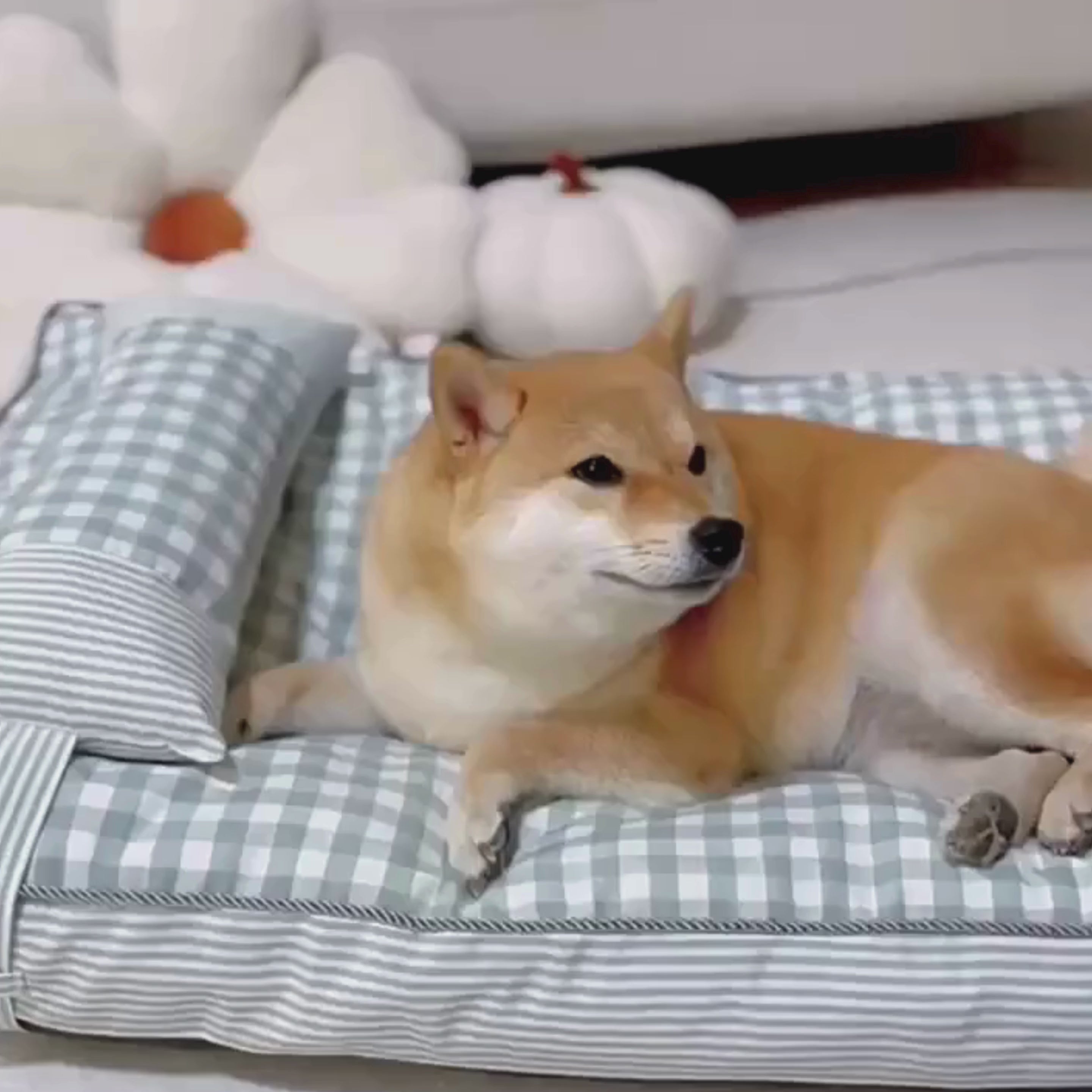 Matelas Pour Chien à Carreaux avec Coussin